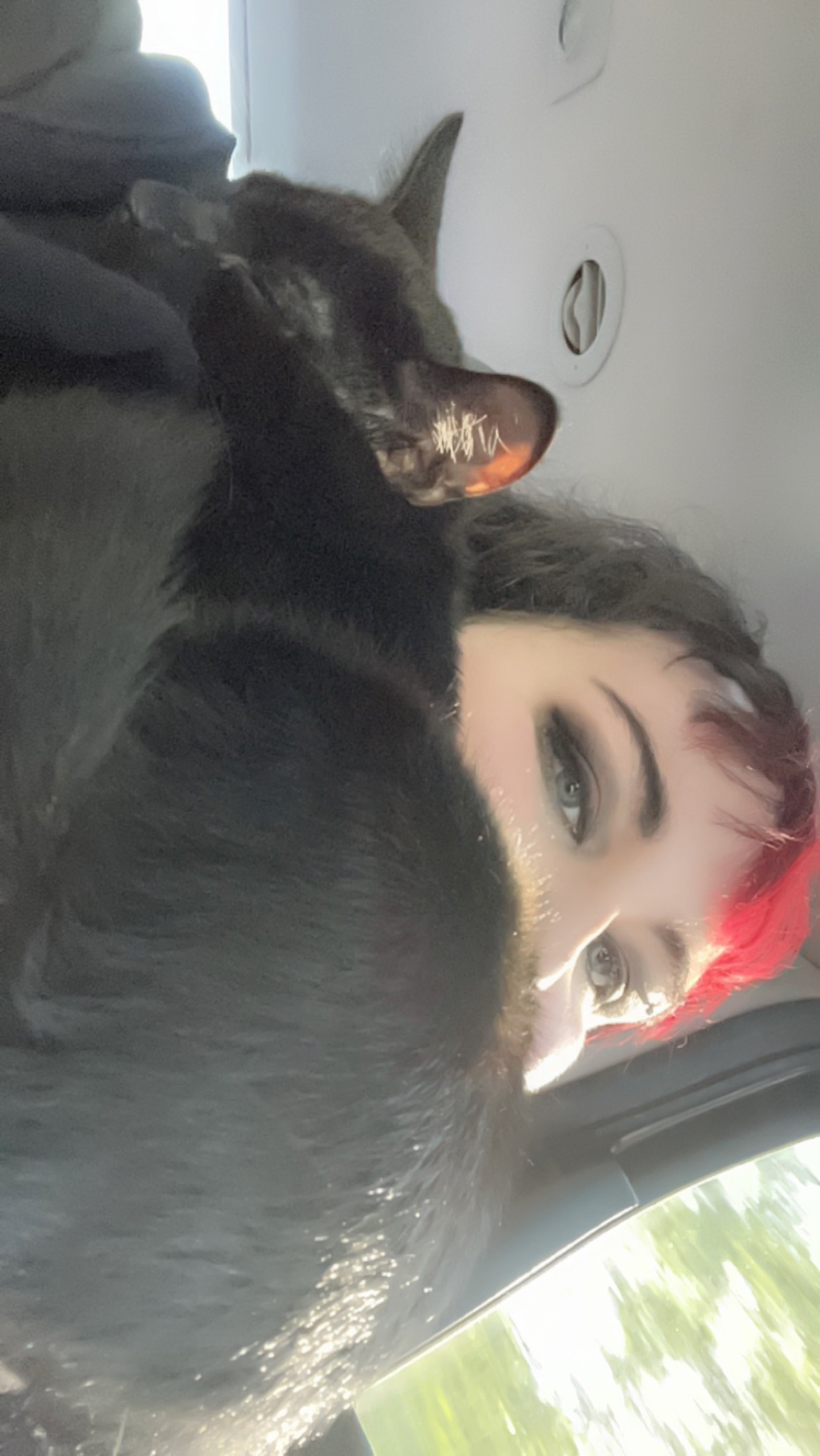 Sarah and Phantom